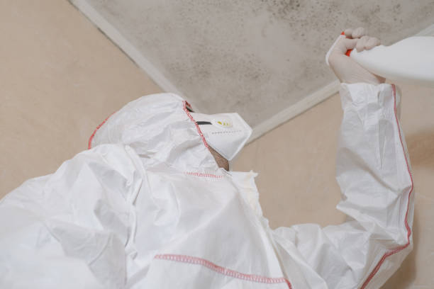 Best Commercial Mold Removal  in Verandah, FL